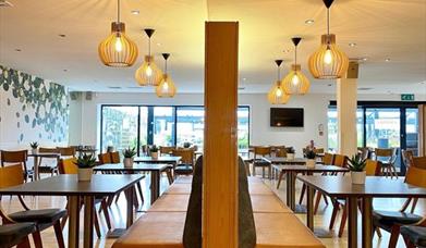 Image shows seating area of the Maple Cafe it is a mixture of bench seating and tables & chairs in dark wood with a row of modern overhead ceiling lig