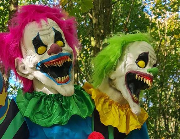 Pumpkin Patch and Halloween Spook Event