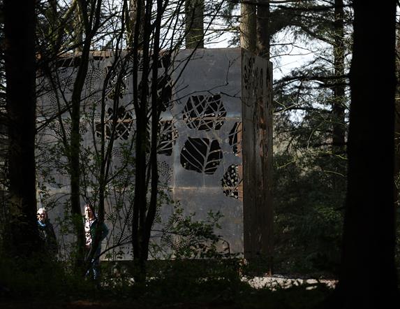 The Cube sculpture in Hillsborough Forest Park