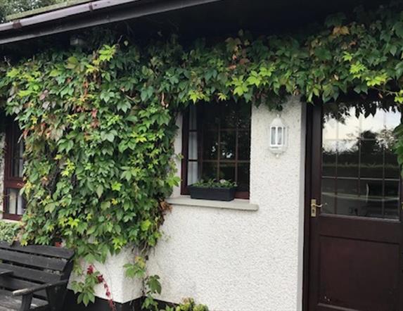 Image shows front of property covered in ivy