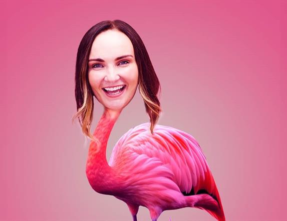 Image is of poster for Diona Doherty comedy show