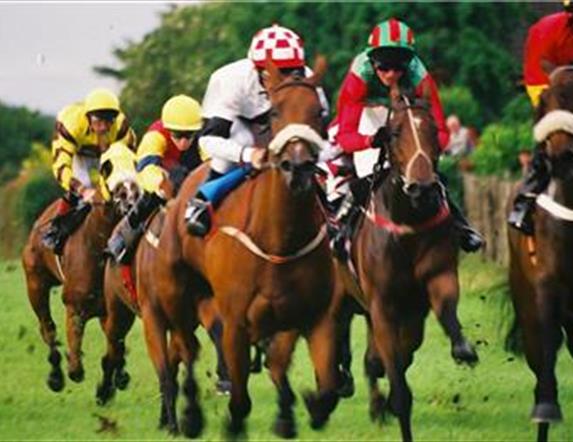 Image shows group of horses with jockeys wearing brightly coloured sportwear