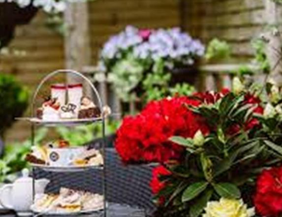 The Secret Garden at Dundonald Nurseries
