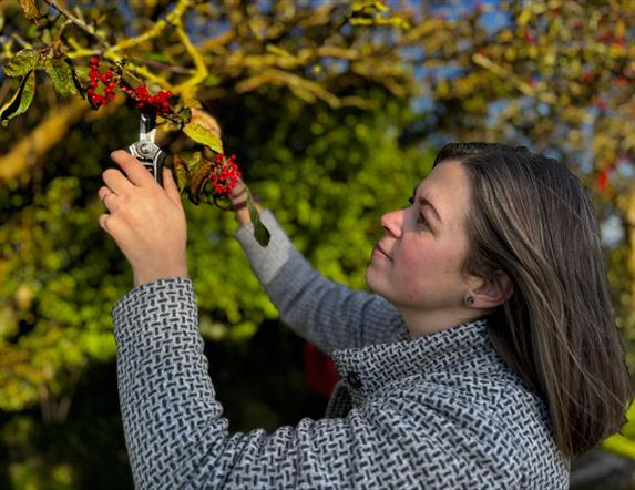 Eco-Friendly Christmas Wreath Making Experience