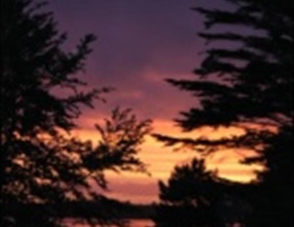 Image is a photo of a sunset and trees at the Lagan Valley Regional Park
