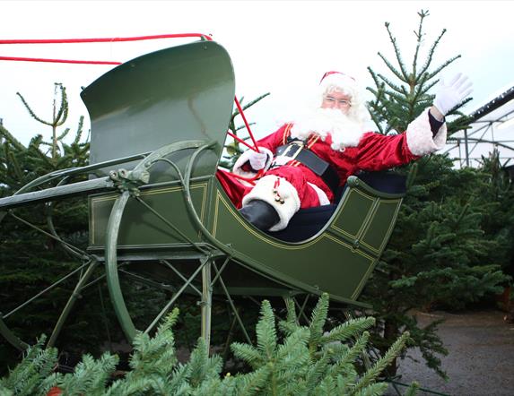Santa on Sleigh surrounded by Christmas trees