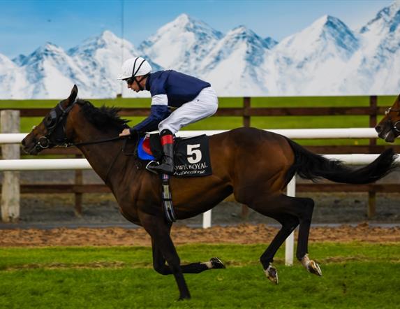 Horse Racing