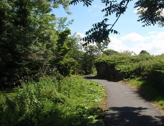 Image of the Lagan Valley Regional Park greenery and walking path