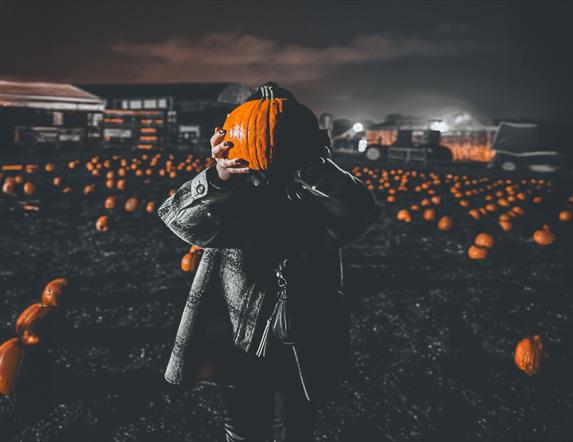 Image is a Halloween image showing pumpkins