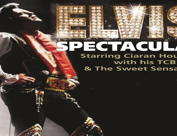 Image is of an Elvis impersonator