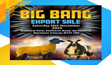 Big Bang Sheep Sale