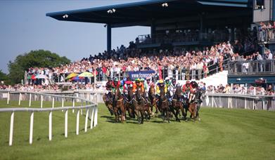 Horses racing at Down Royal Race Course