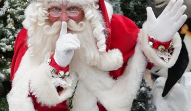 Image is of Santa Claus making a quiet gesture re the Quiet Grotto at Dobbies Garden Centre