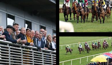 Image is of spectators and horses at Down Royal Racecourse