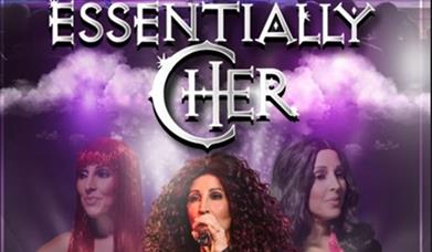 Poster of Cher lookalike