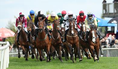 Horses racing around the bend