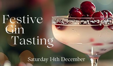 Image is of a glass of gin with olives on top