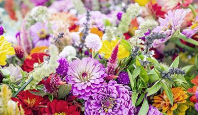 Image is of various types of flowers