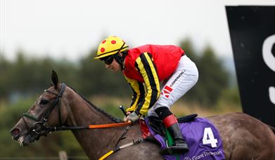 Jocket wearing red top riding horse