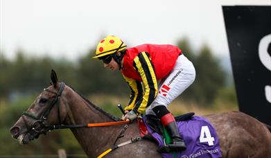 Picture of jockey in red riding on horse