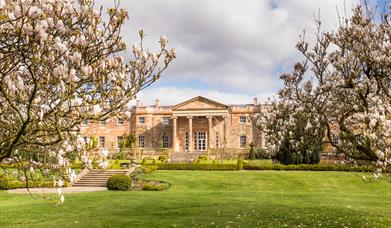 Back view of Hillsborough Castle with trees in flower