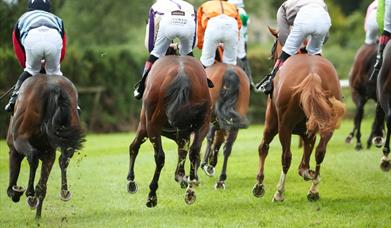 Horses with jockeys running around the race track