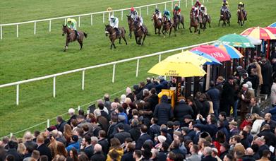 Horses racing with spectators in the background