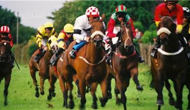 Image shows horses racing at Down Royal with Jockeys wearing a variety of colours