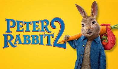 Poster for Peter Rabbit 2 Movie