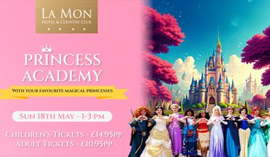 Image is of the characters from Princess Academy