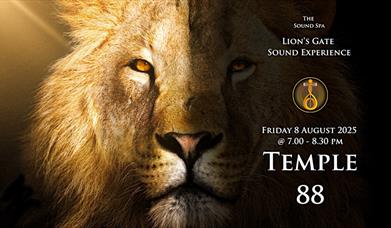 Image is of a lion advertising a sound bath at the sound healing spa in Lisburn