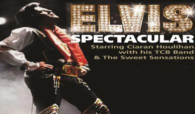 Image is of an Elvis impersonator