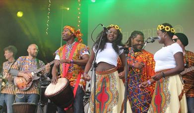 Image is of various band members on stage at the sunflowerfest