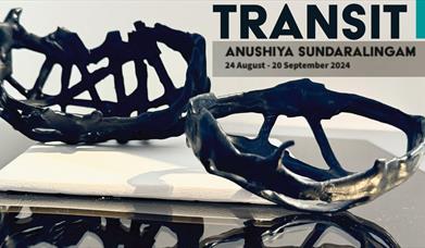 Poster for Transit Exhibition