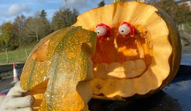 Pumpkin carving at Laganvale Farm
