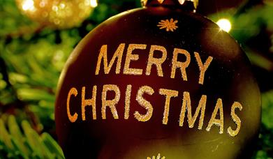 Merry Christmas bauble hanging on tree