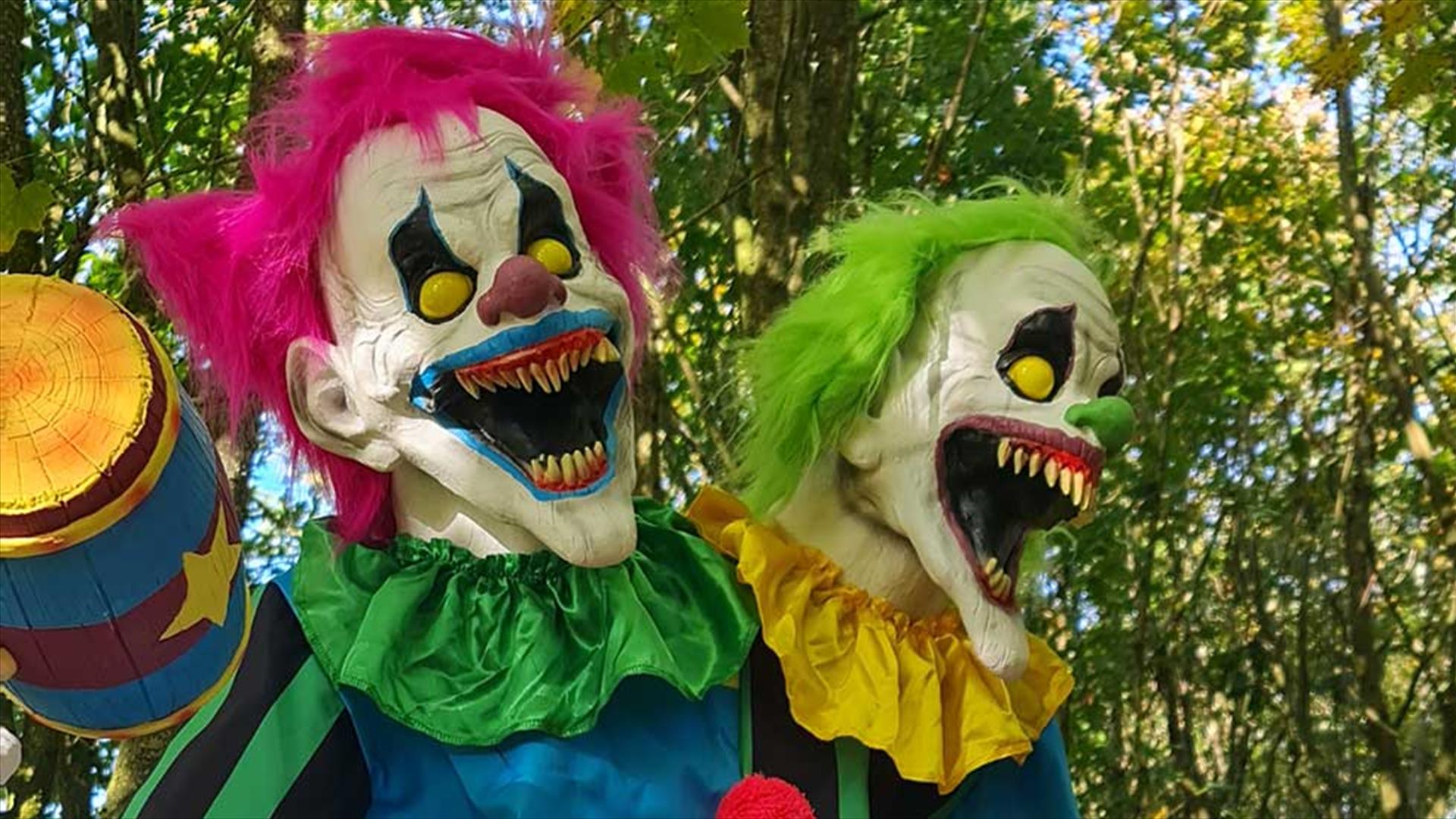 Pumpkin Patch and Halloween Spook Event