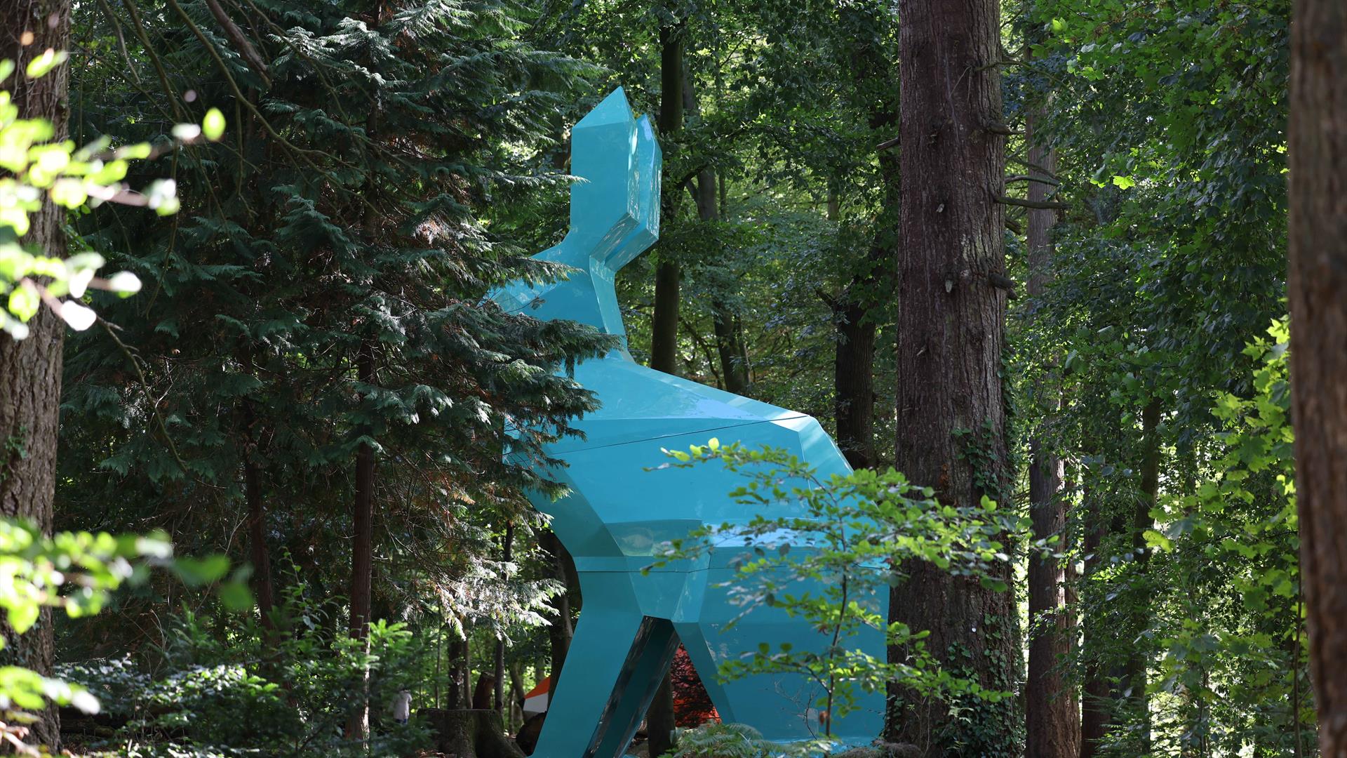 Side view of Peep the Hare through trees in Hillsborough Forest Park