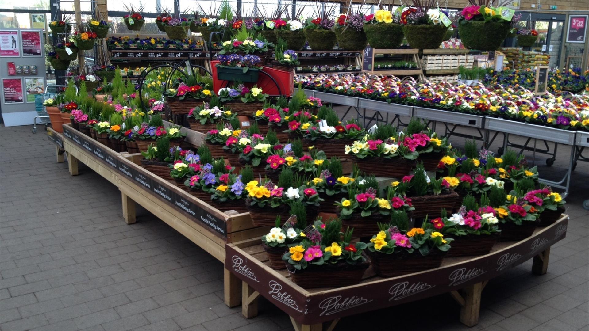 Image is of rows of different types of plants and flowers in nursery area
