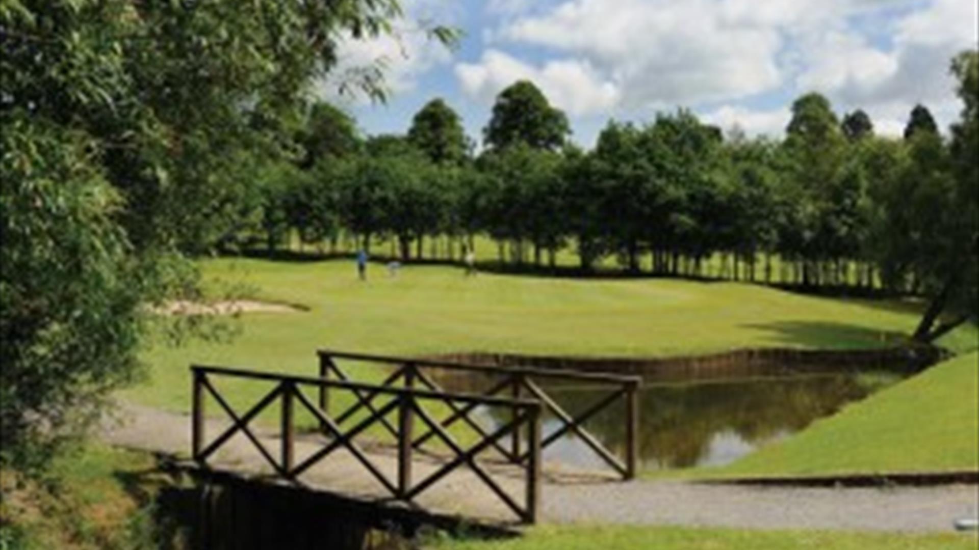 image of gold course hole with brdge