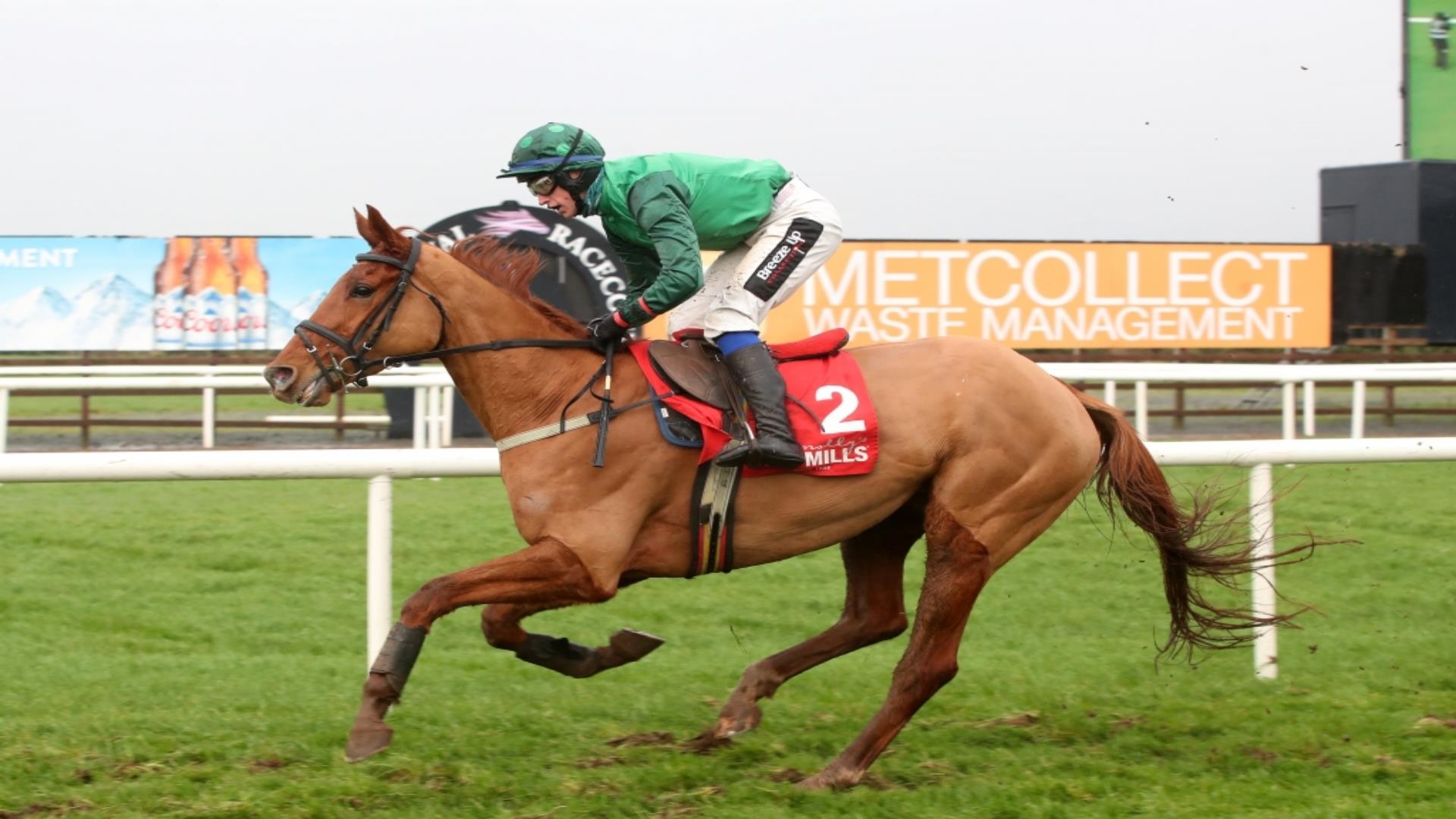 Image shows jockey wearing green in Boxing Day race at Down Royal Racecourse