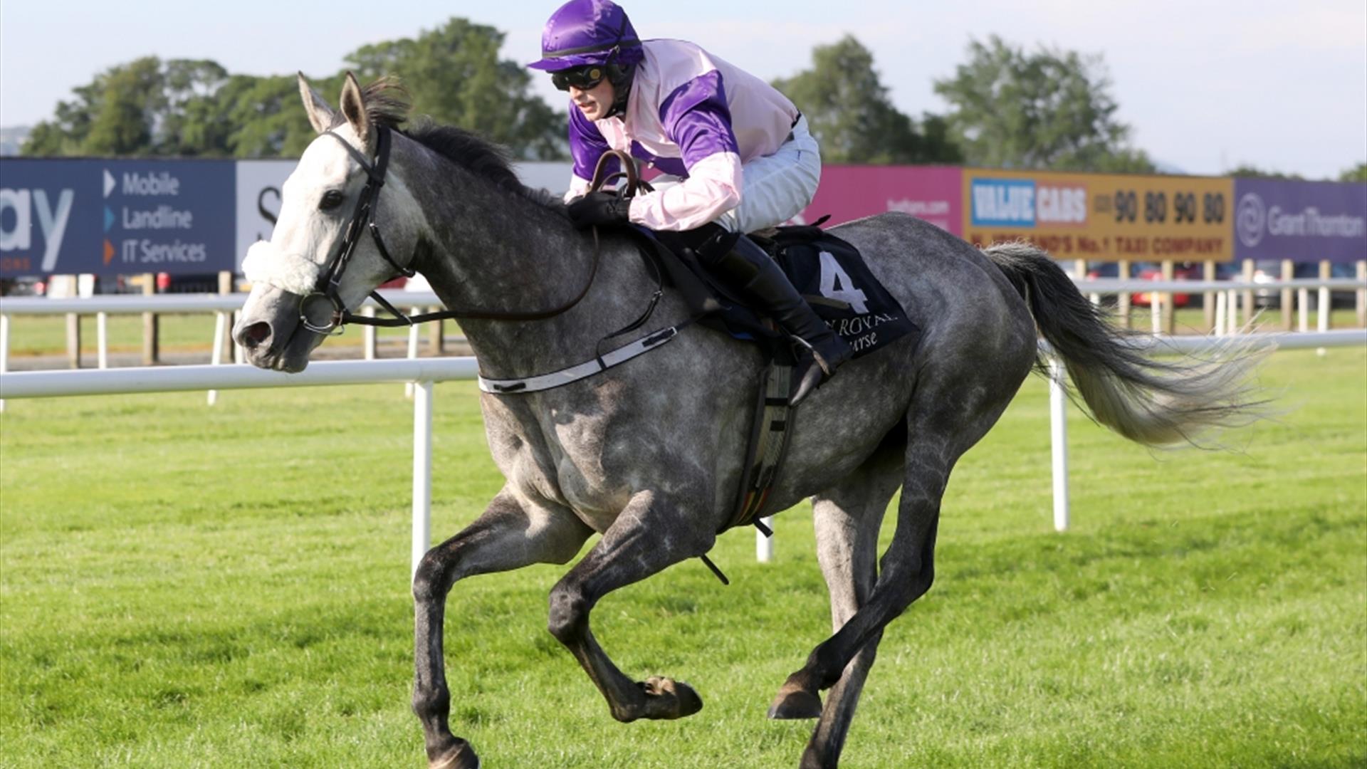 Image shows jockey riding grey horse during race