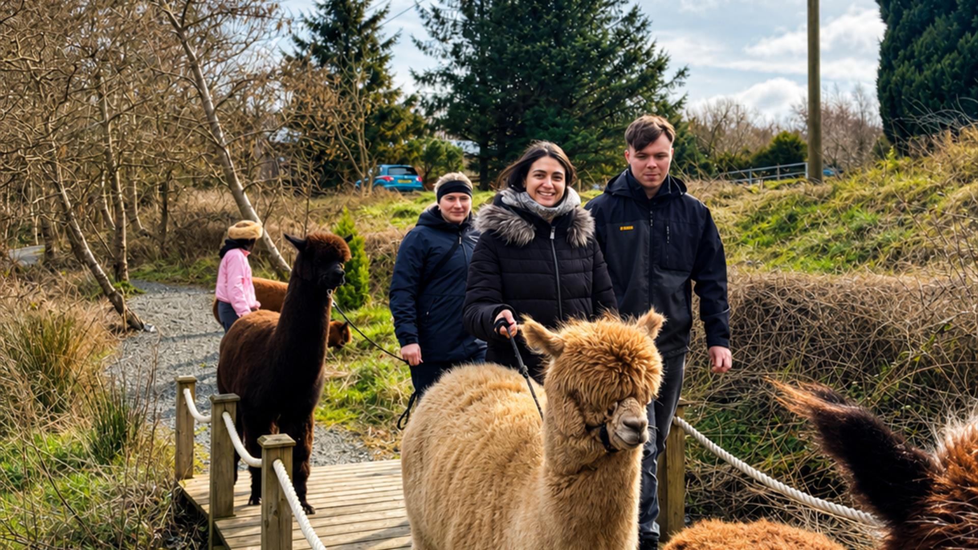 Trek & Treat: Family Halloween Alpaca Trekking & Bouncy Castle Experience