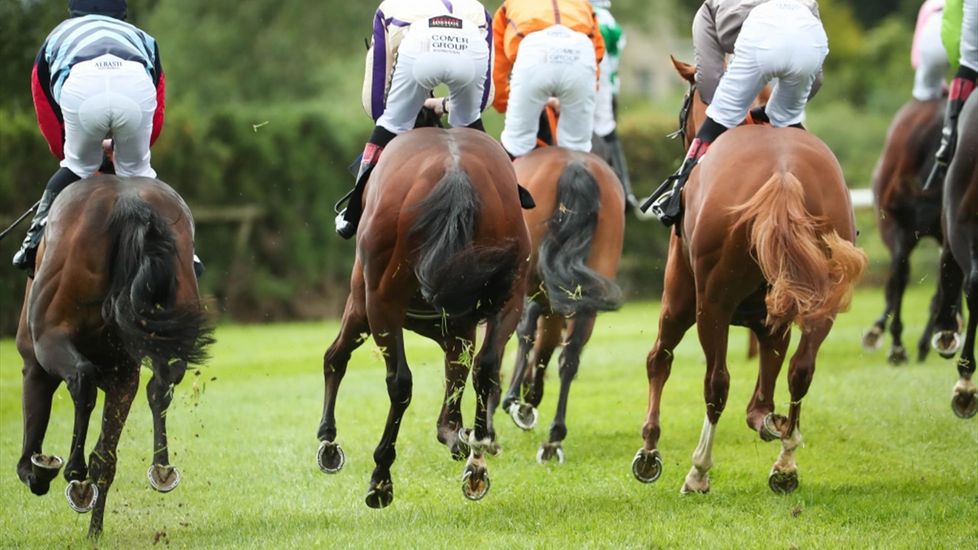 Image shows a group of jockeys racing horses on race day.