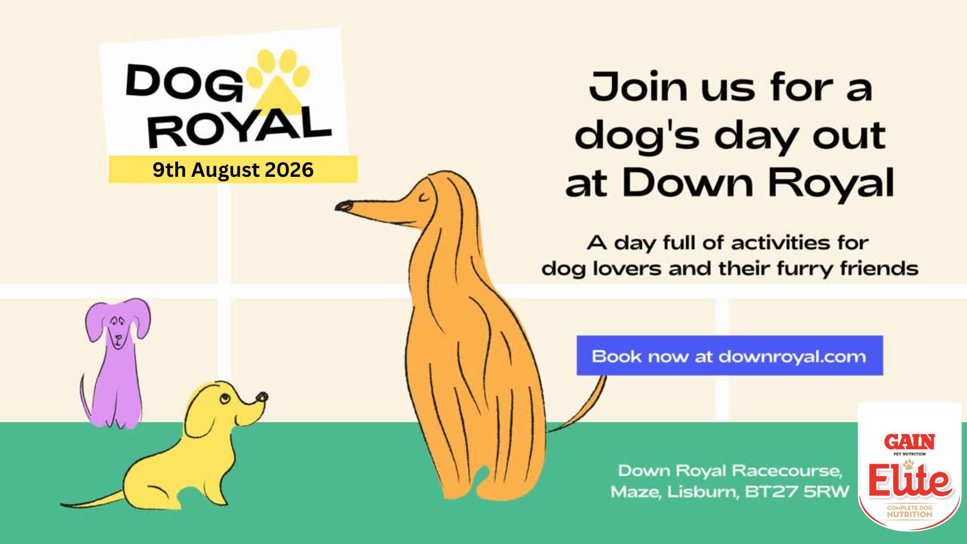 Image of Dog Royal Poster.  9th August 2026.