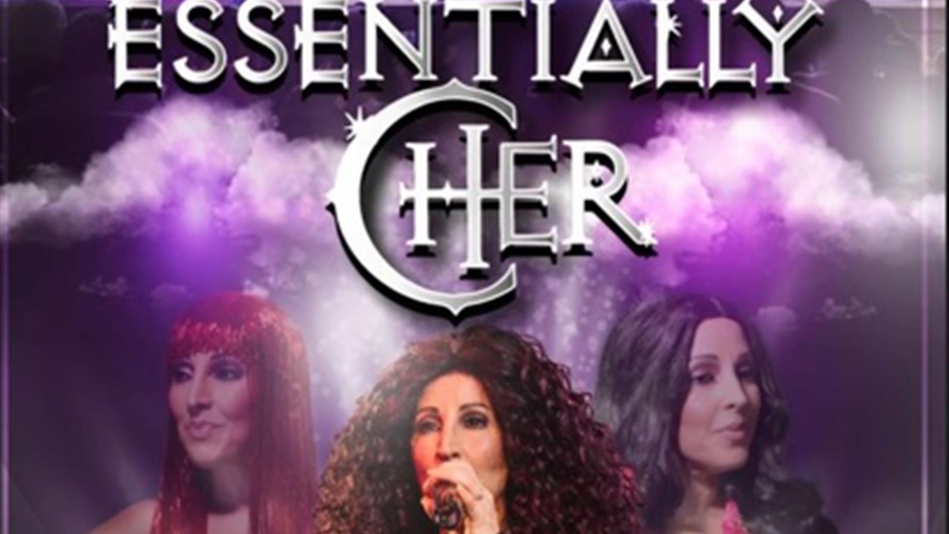 Poster of Cher lookalike
