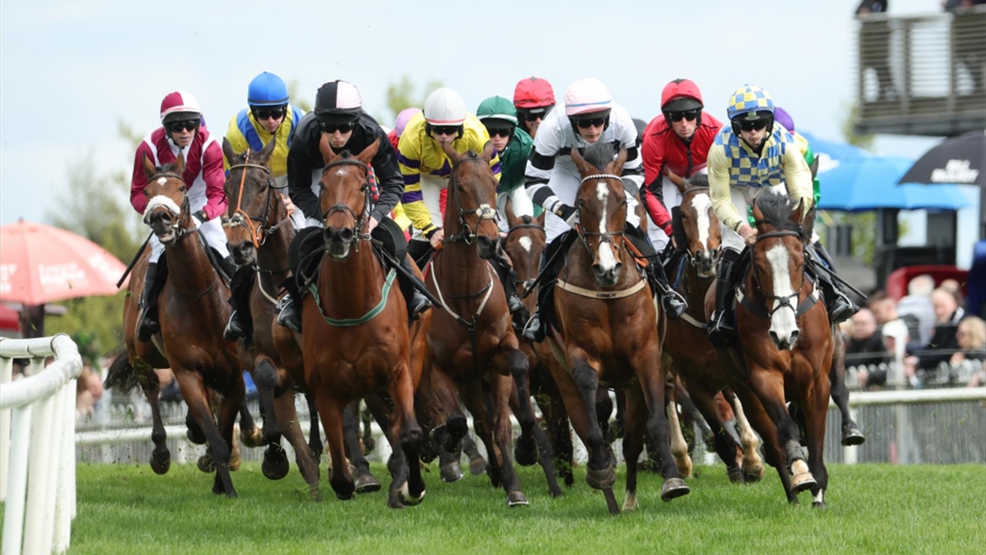 Horses racing around the bend