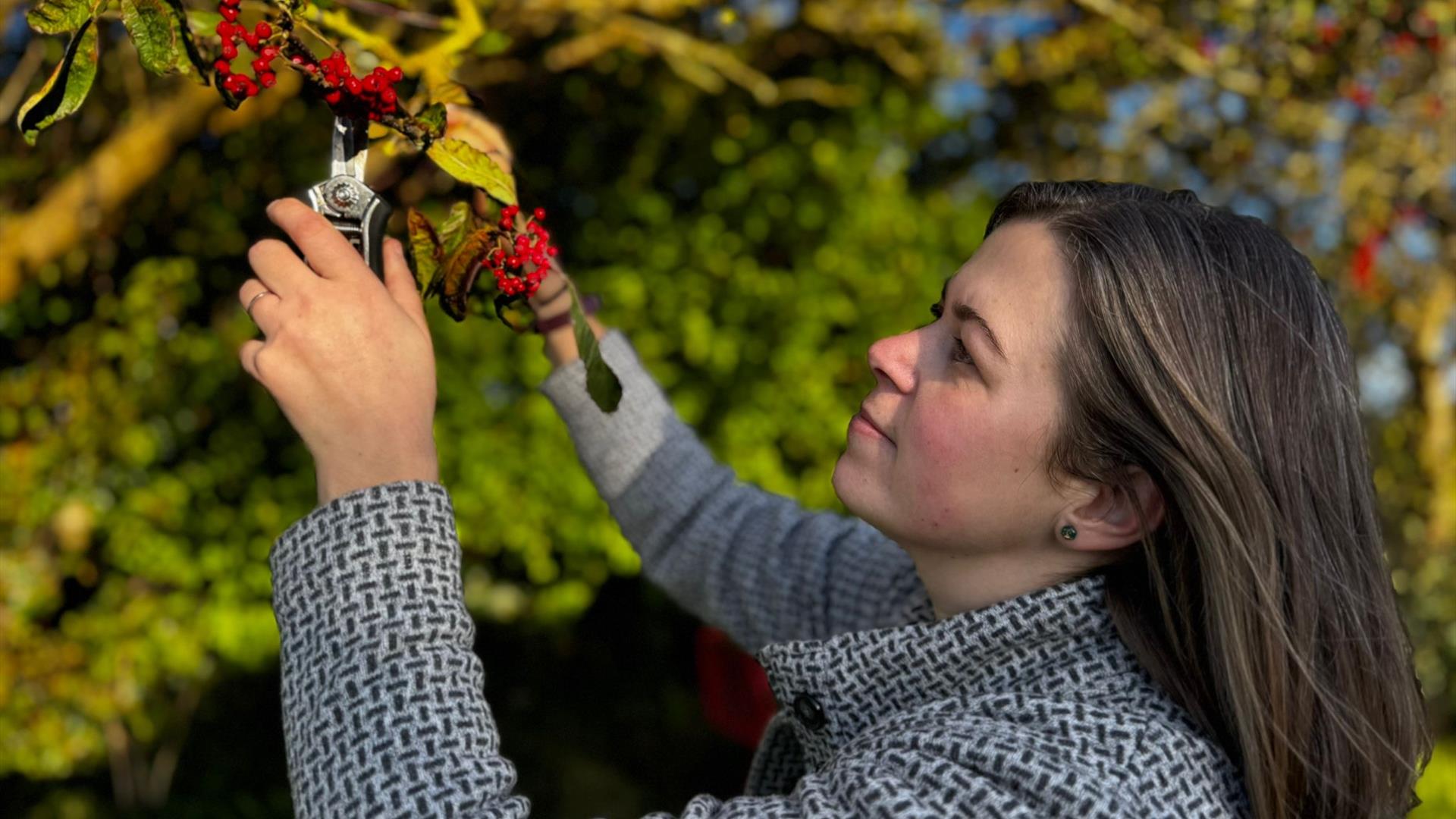 Eco-Friendly Christmas Wreath Making Experience