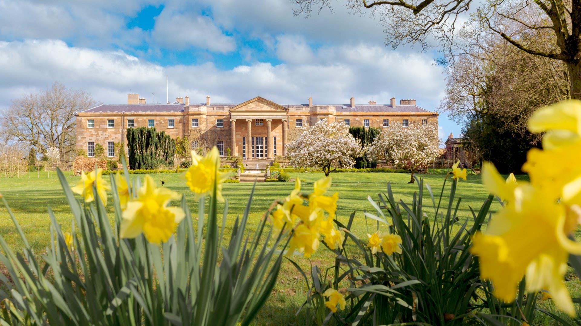 An image of Hillsborough Castle with daffodils in the garden