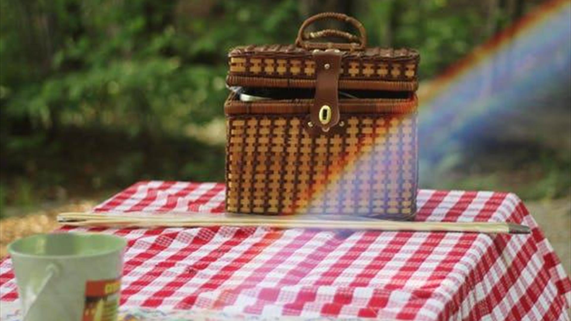Image shows table covered with red check tablecloth and food hamper with rainbow shining on hamper